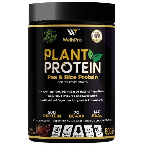 Vegan-Protein-500GM-main-removebg-preview